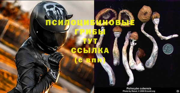 эйфоретик Вязьма
