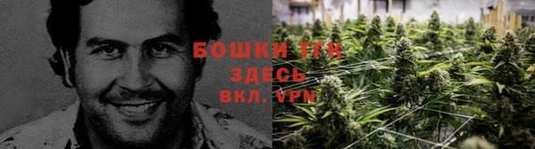 Альфа ПВП Вяземский
