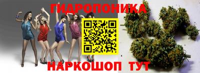 ECSTASY Кандалакша