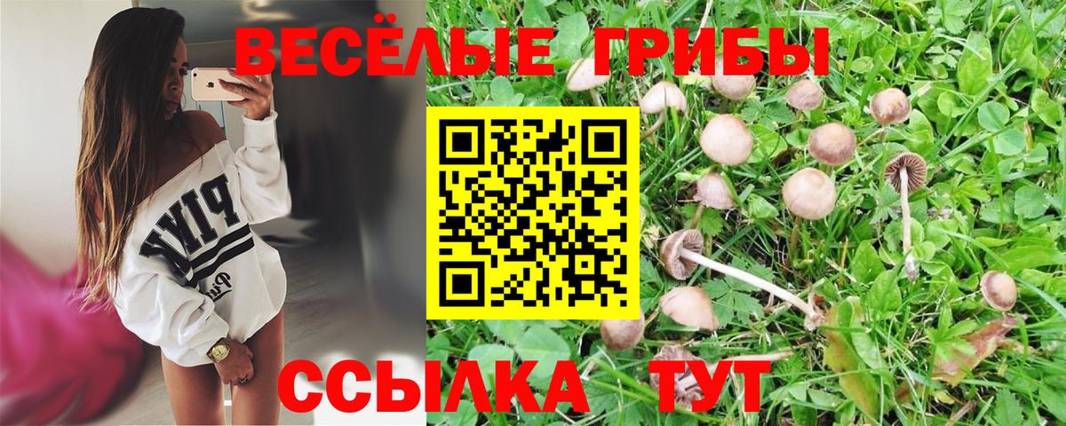 Муром  Галлюциногенные грибы Psilocybine cubensis  Псилоцибиновые грибы прущие грибы  Вход с VPN 